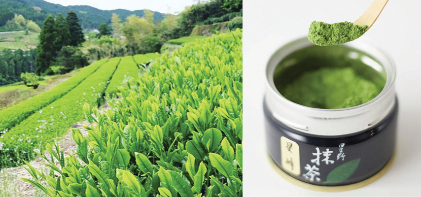Matcha-Yamecha