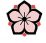 SakuraBento
